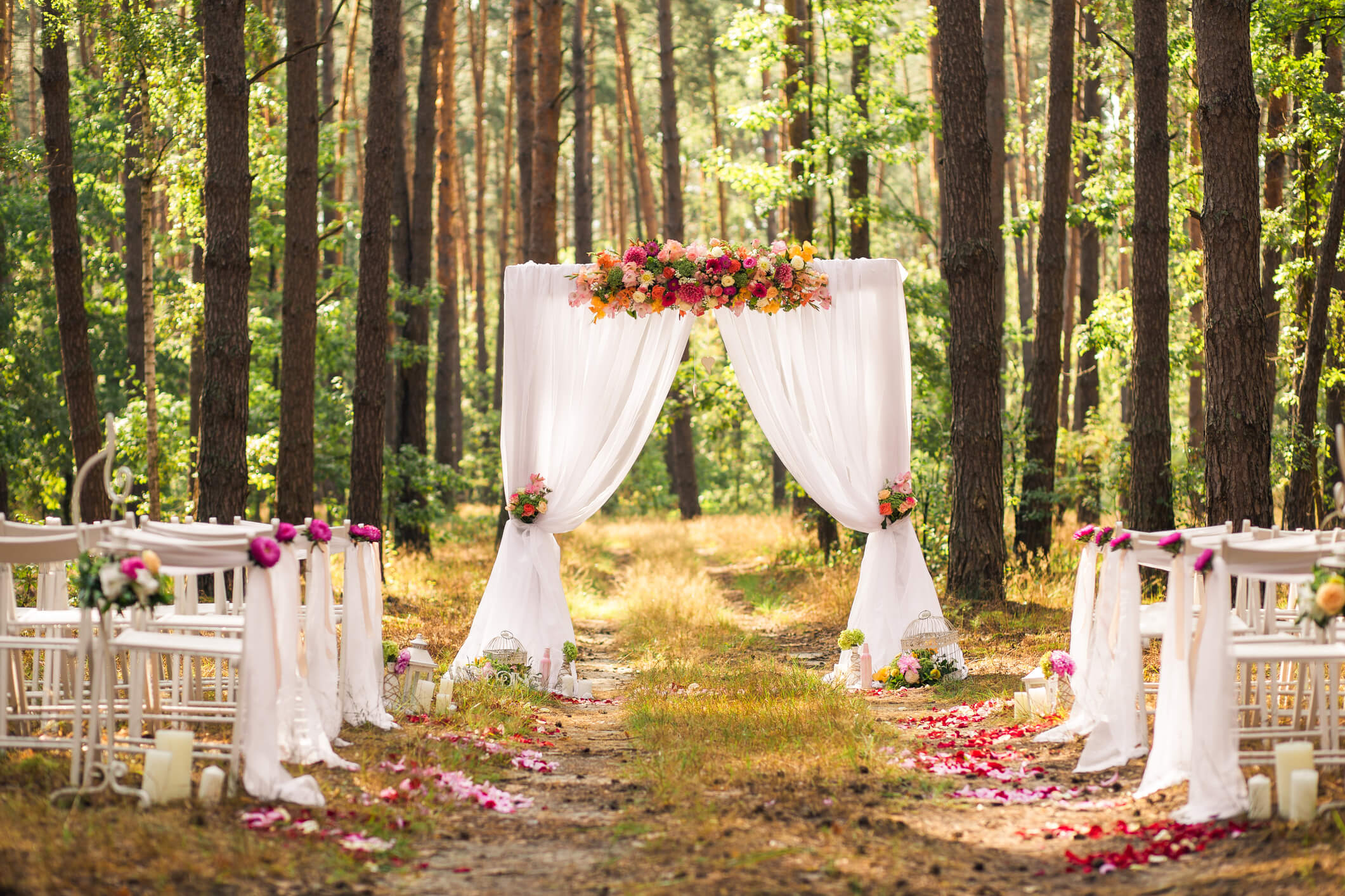 Organic Tented Wedding with Whimsical Hanging Greenery