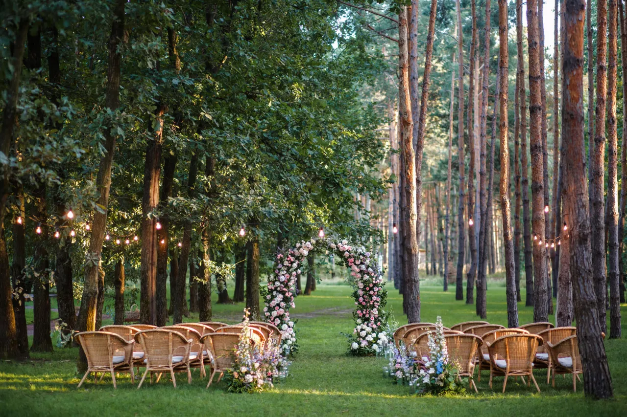 wedding arch idea for a forest wedding