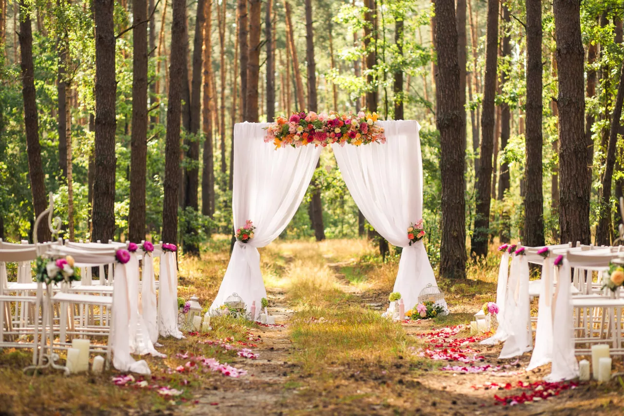 Beautiful arch between trees for forest wedding