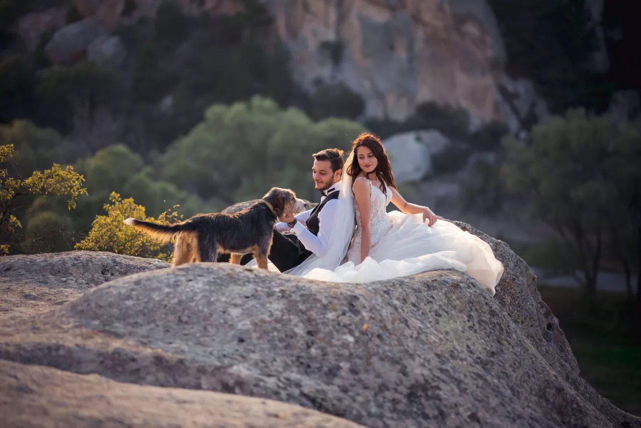 Bride and groom sitting on rocks petting dog