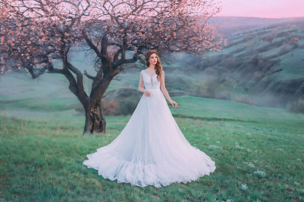 Bride dressed as princess stands on hilltop at dawn