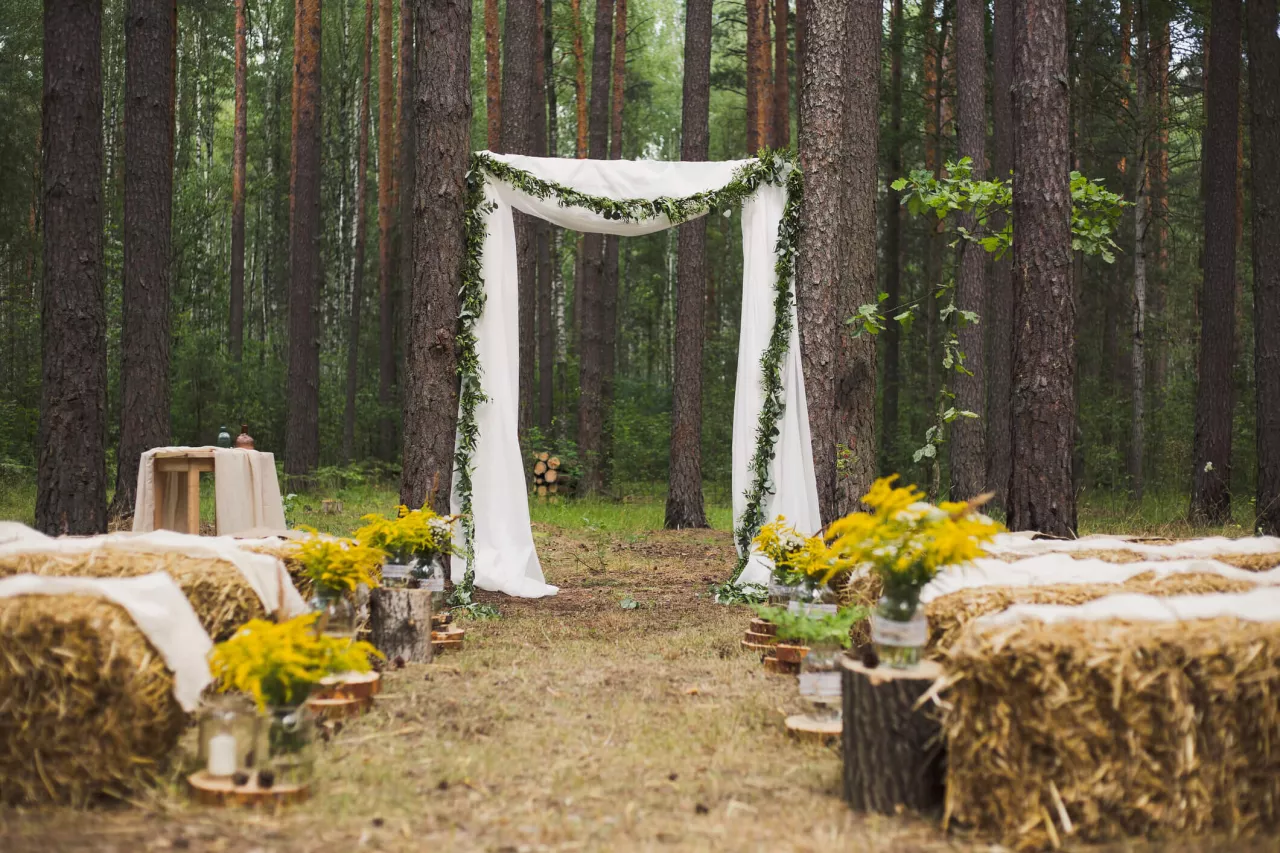 ceremony space in woods using eco-friendly wedding ideas for seating and decoration