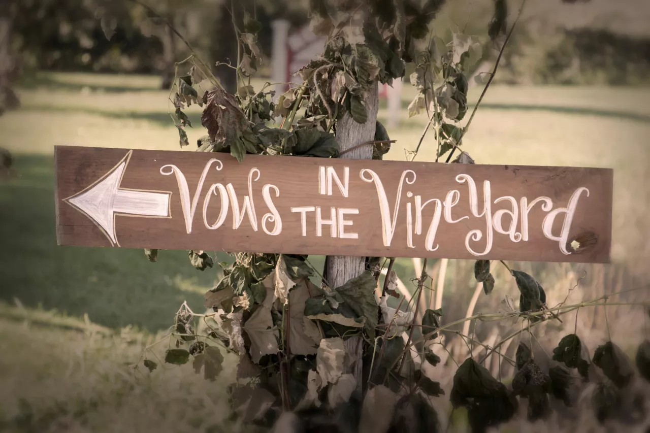 vows in the vineyard sign for winery wedding