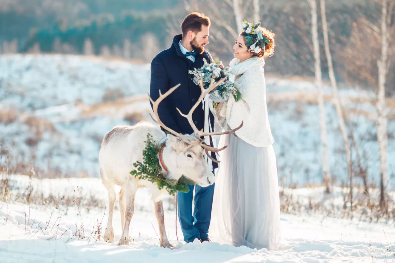 Bride and groom smiling in snowy field with elk