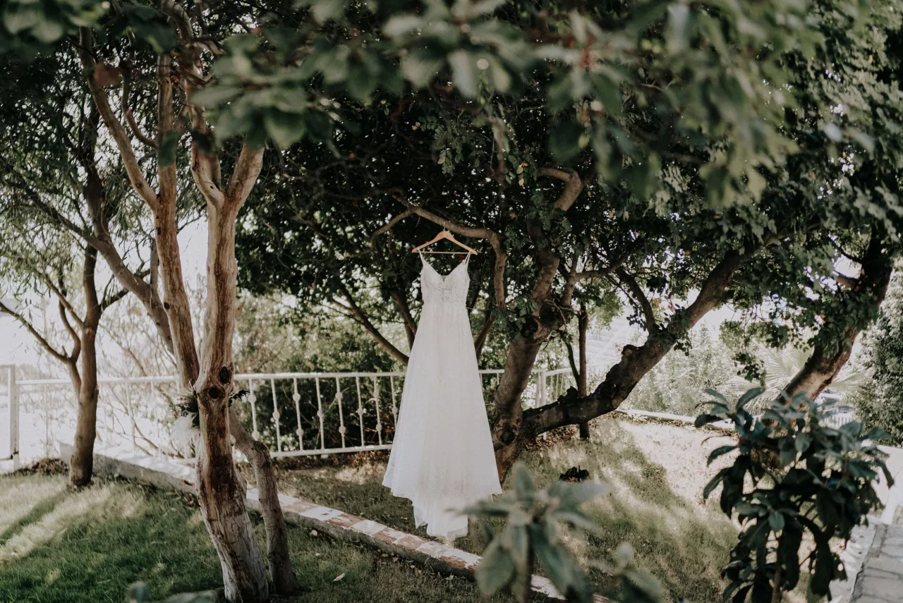 Wedding dress on hanger in tree